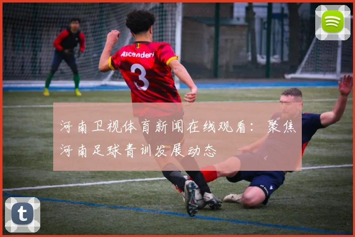河南卫视体育新闻在线观看：聚焦河南足球青训发展动态