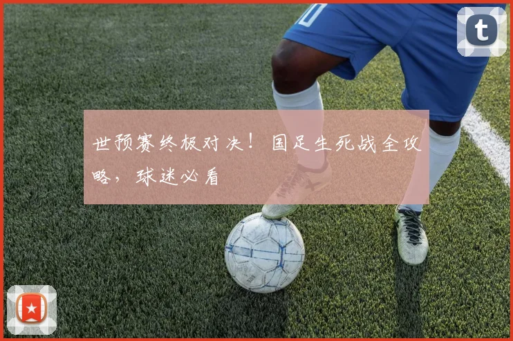 世预赛终极对决！国足生死战全攻略，球迷必看