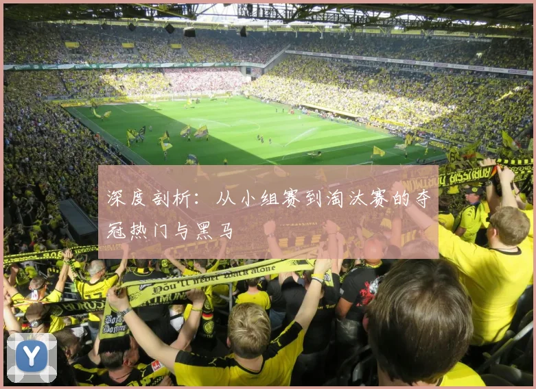 深度剖析:从小组赛到淘汰赛的夺冠热门与黑马