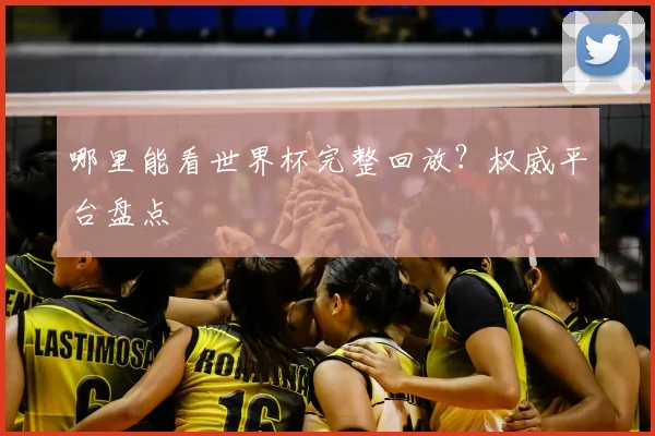 哪里能看世界杯完整回放？权威平台盘点