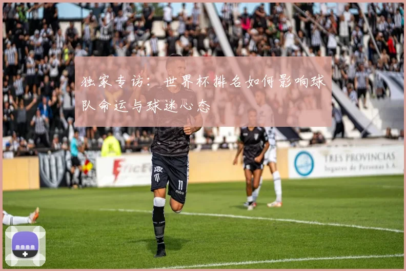 独家专访:世界杯排名如何影响球队命运与球迷心态