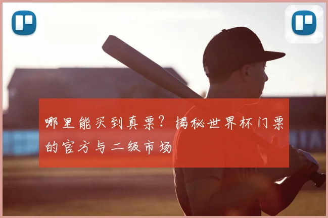 哪里能买到真票？揭秘世界杯门票的官方与二级市场